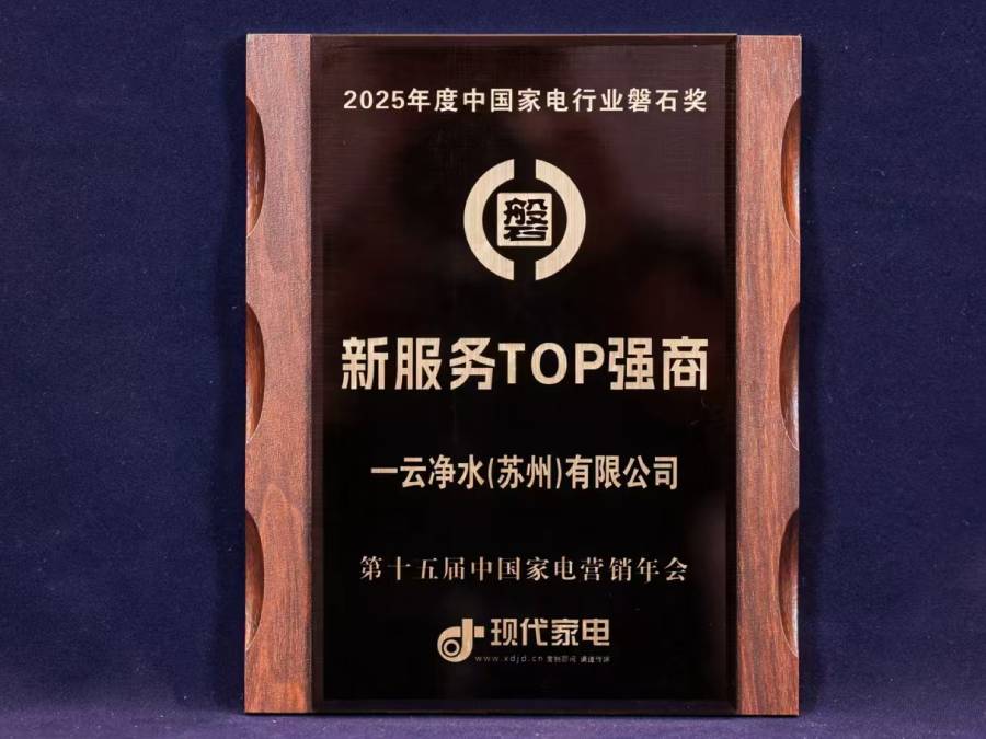 2025年度中电行业磐石奖-新服务TOP强商